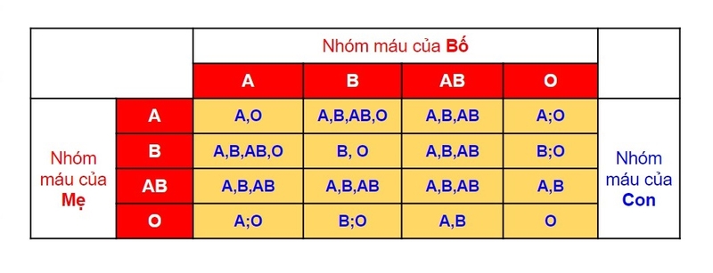 cách nhận biết nhóm máu o 4