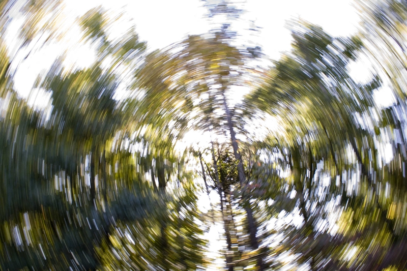 Cách nhận biết thiếu máu qua các bộ phận trên cơ thể 1