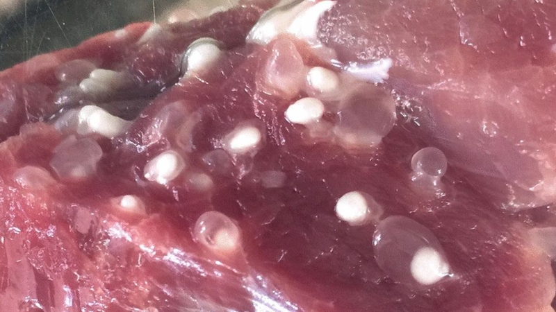 Cần kiểm tra kỹ càng để tránh mua phải thịt bò nhiễm sán