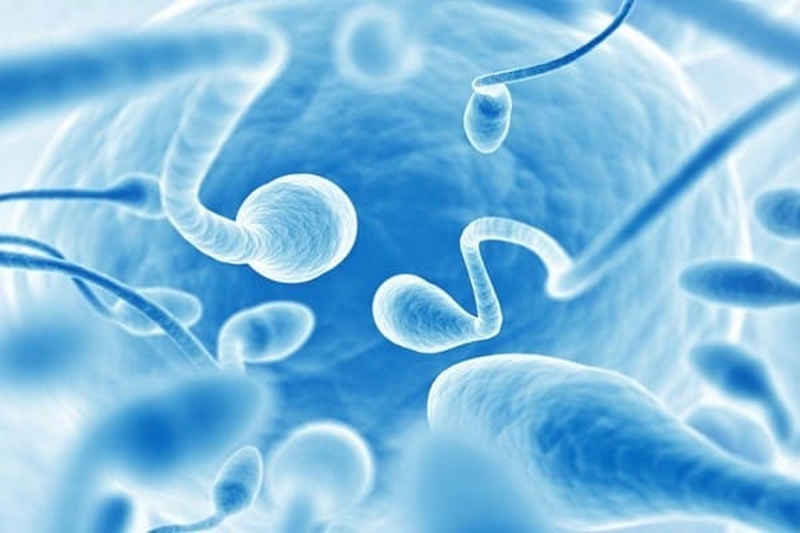 tinh trùng loãng và tinh trùng đặc