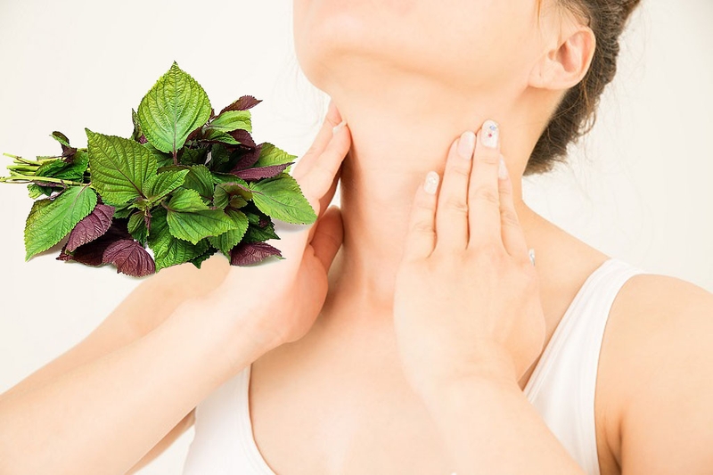 Cách nhận biết và điều trị mụn thịt ở cổ