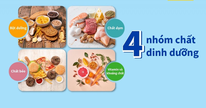 Cách pha bột Mass tăng cân​ để cơ thể hấp thu 100% 1