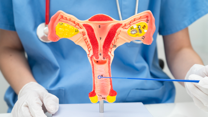 Người bị viêm nhiễm phụ khoa có thể sử dụng phiên bản giúp làm dịu nhanh