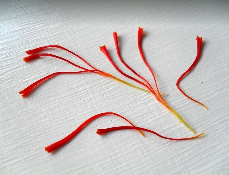 Cách phân biệt saffron chất lượng 1