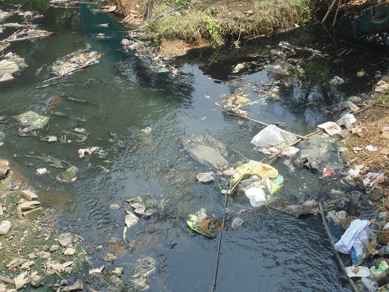 Thường xuyên vệ sinh môi trường xung quanh nơi ở để hạn chế sự sinh sôi nảy nở của loài muỗi