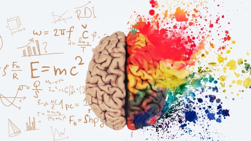 Cách phát triển bán cầu não phải đơn giản, hiệu quả cho bé 1