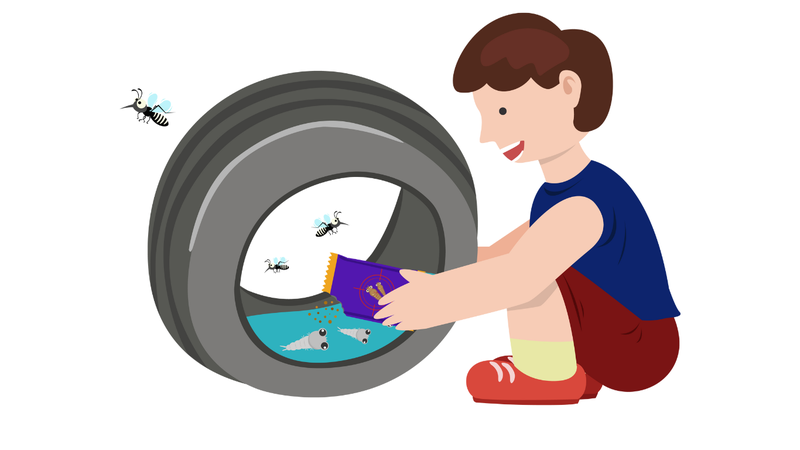 Cách phòng bệnh sốt xuất huyết hiệu quả và an toàn 1