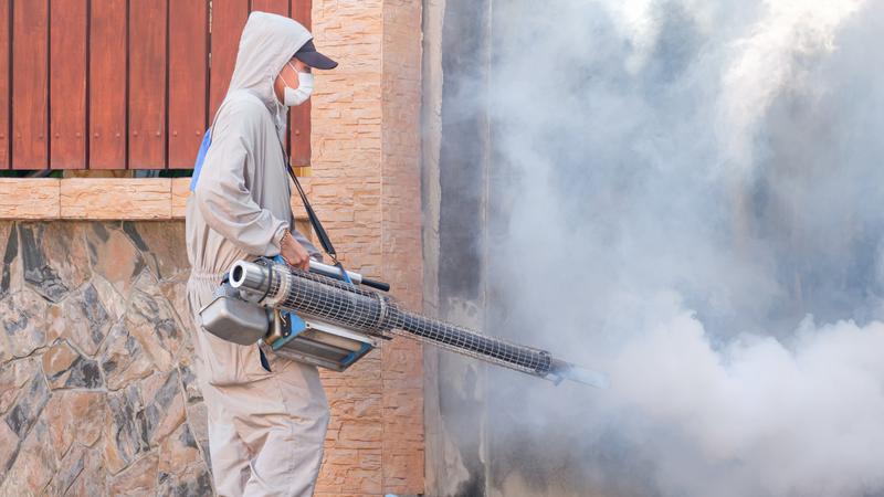 Cách phòng bệnh sốt xuất huyết hiệu quả và an toàn 3