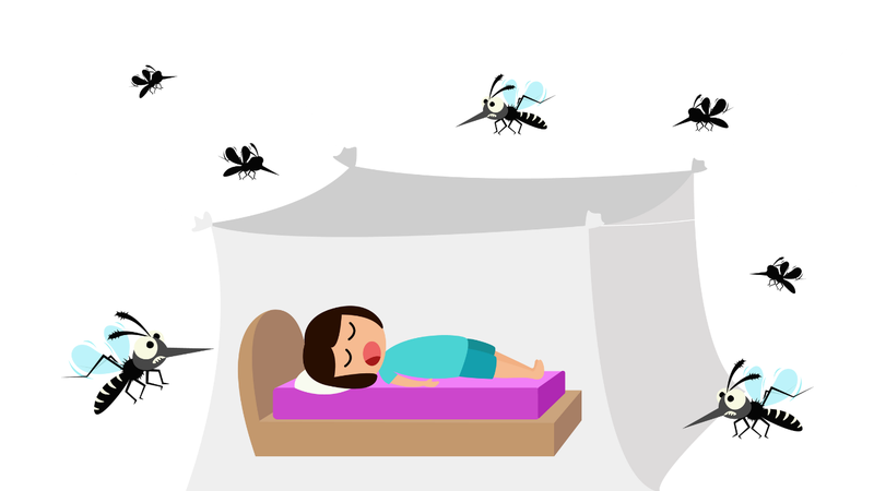 Cách phòng bệnh sốt xuất huyết hiệu quả và an toàn 4