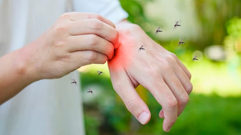 Cách phòng sốt xuất huyết hiệu quả mà ai cũng cần biết 3