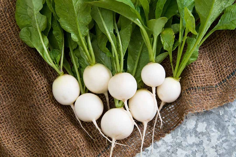 Cách phòng ngừa chuột rút khi mang thai mẹ nên biết 3