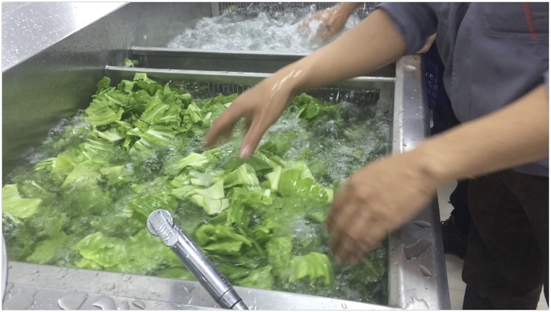 Cách rửa rau sạch và đúng cách như thế nào? 2