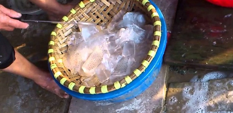 Cách sơ chế sứa để làm nộm ngon và an toàn 3