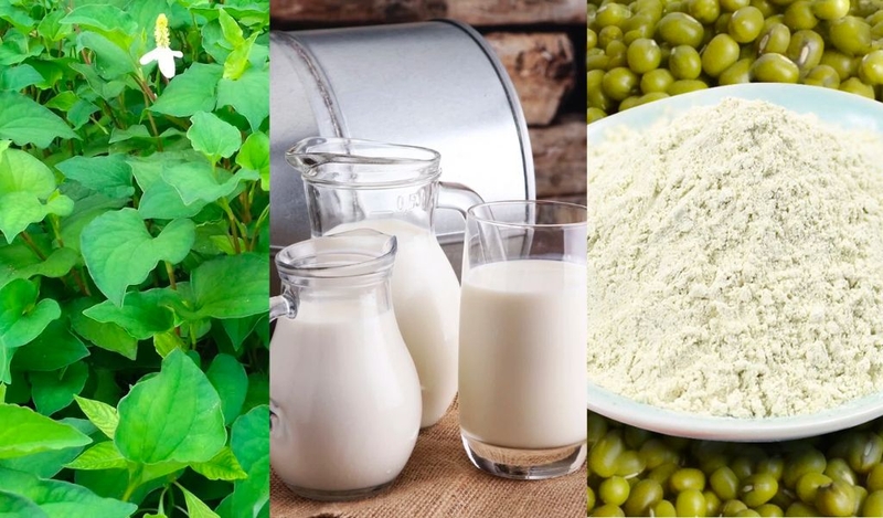 Cách sử dụng bột diếp cá đắp mặt trị mụn, làm sáng da, chống lão hoá 3