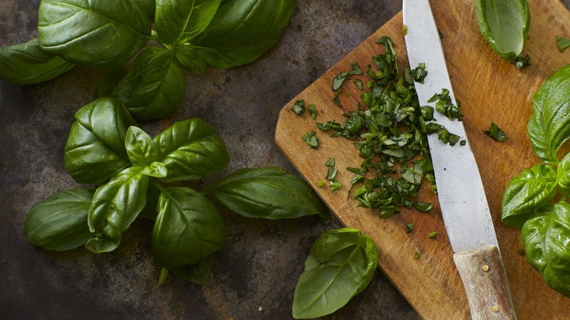 Cách sử dụng lá húng quế trị ho cho trẻ sơ sinh là gì? Biện pháp chữa ho hiệu quả cho trẻ 1