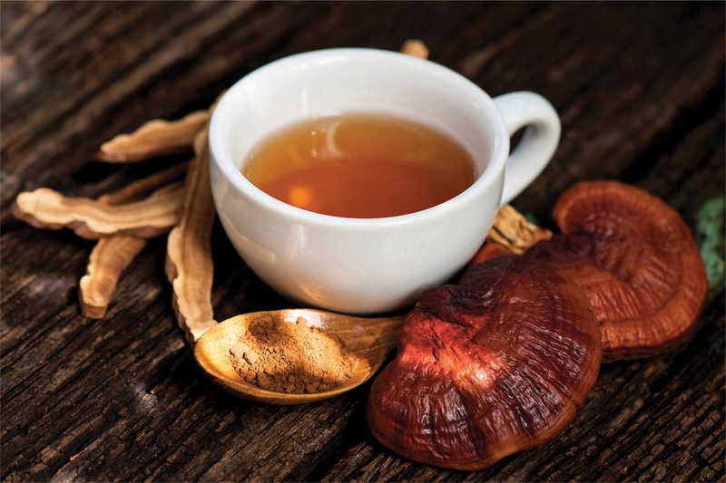 Cách sử dụng nấm lim xanh khô đúng chuẩn đem lại hiệu quả cao 3