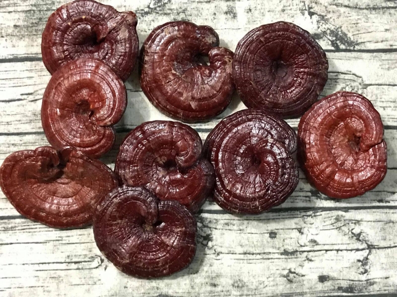 Cách sử dụng nấm Linh Chi hiệu quả với sức khỏe 1