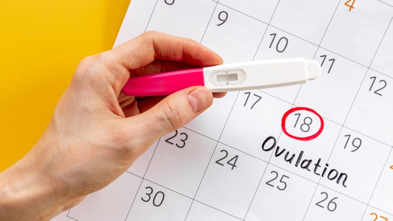 Que thử rụng trứng giúp xác định thời điểm trứng sắp rụng thông qua việc đo nồng độ hormone LH trong nước tiểu