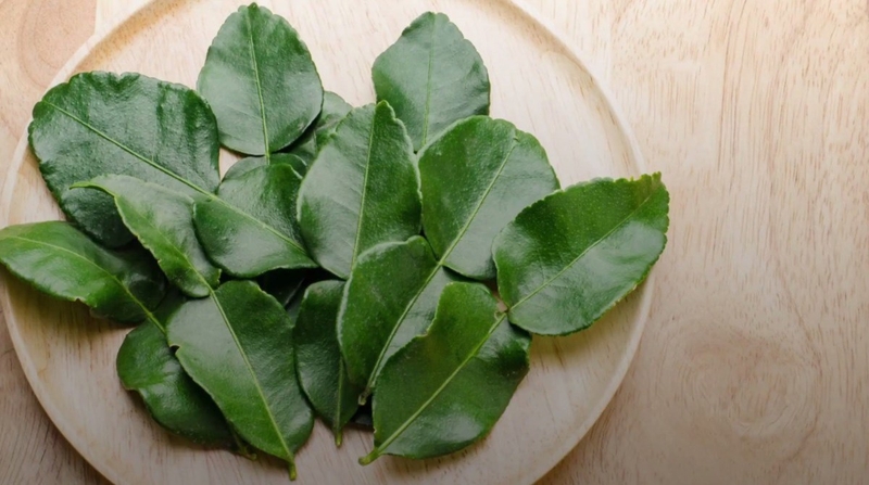 Cách tắm lá kinh giới cho trẻ sơ sinh an toàn mẹ cần biết 3