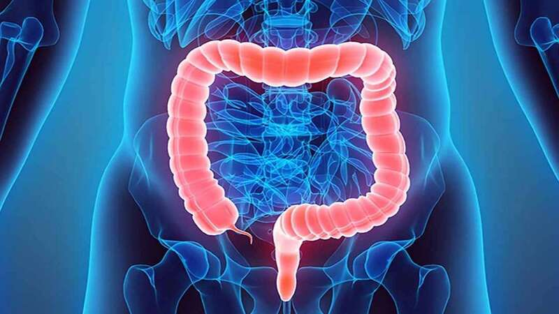 Có nhiều bài thuốc dân gian chữa hội chứng ruột kích thích an toàn và hiệu quả.-1