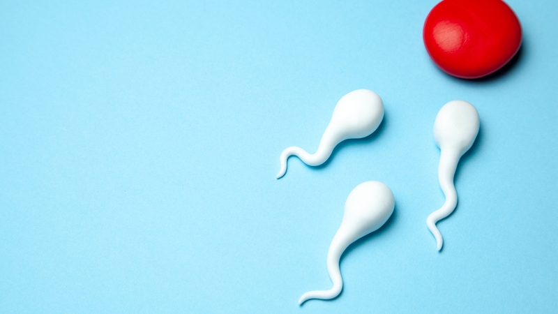 Cách tăng chất lượng tinh trùng hiệu quả, tăng khả năng đậu thai 1