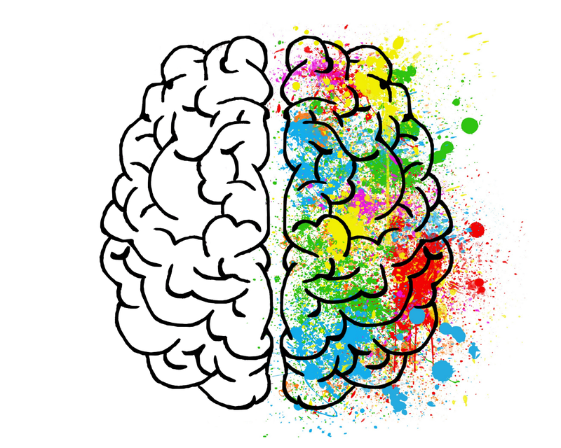 Cách tăng chỉ số IQ