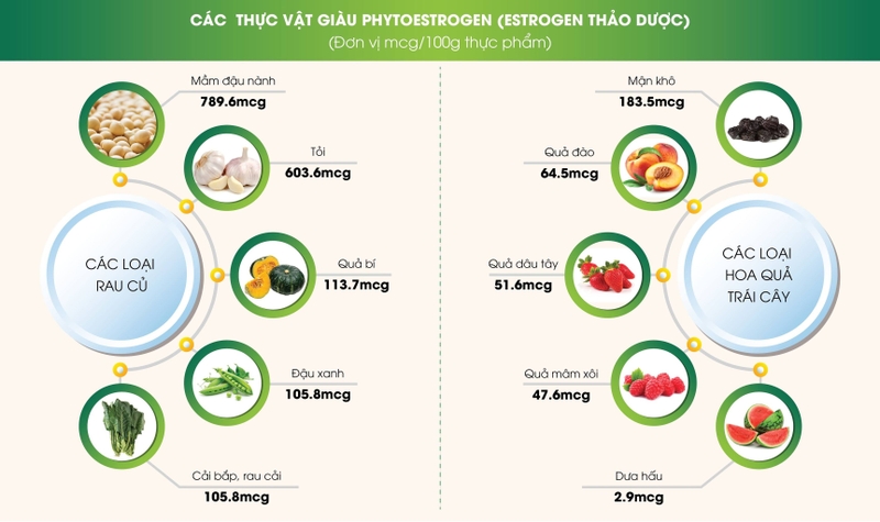 Cách tăng nội tiết tố nữ tự nhiên và nguyên nhân nội tiết tố thấp 3