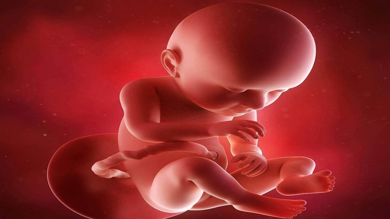 Cách thử tiểu đường thai kỳ tại nhà chi tiết, đơn giản và chính xác 2