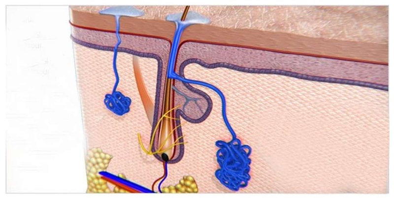 cach-tri-do-mo-hoi-dau-o-tre-em 3.jpg