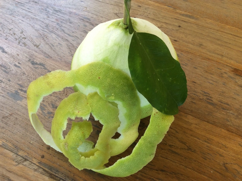 Cách trị gàu và rụng tóc tại nhà với các nguyên liệu từ tự nhiên2