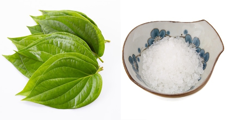 Cách trị giun kim bằng lá trầu không 3