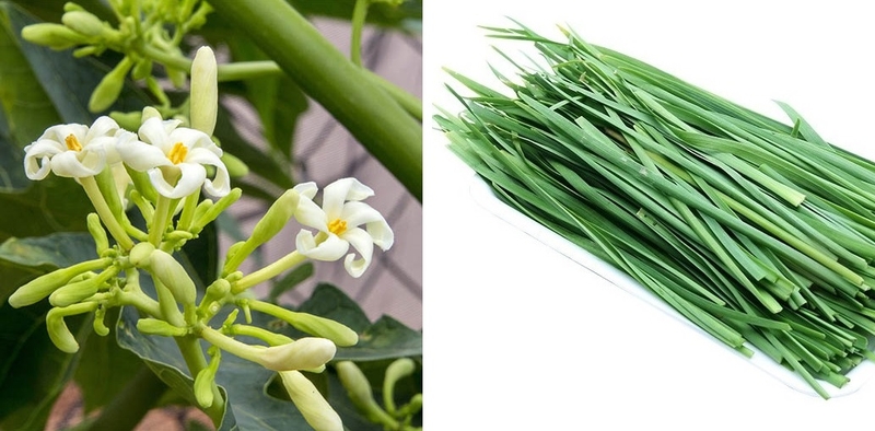 cách trị ho bằng hoa đu đủ đực với lá hẹ