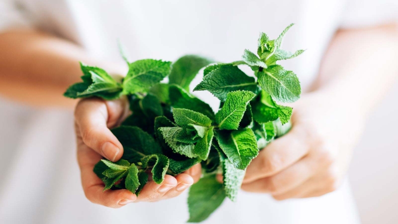 Cách trị mụn lưng tại nhà đơn giản, hiệu quả và dễ áp dụng 4