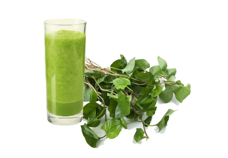 Tìm hiểu chi tiết cách trị mụn trứng cá bằng rau diếp cá 3