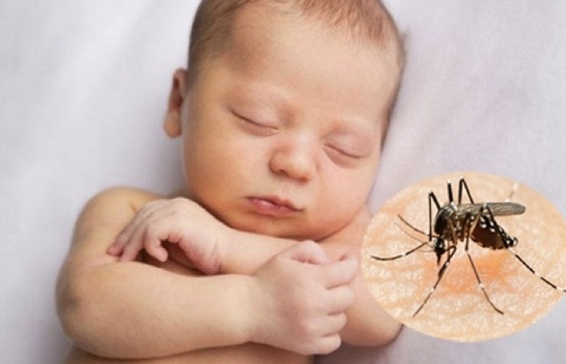 Cách trị muỗi đốt tại nhà an toàn cho trẻ 1