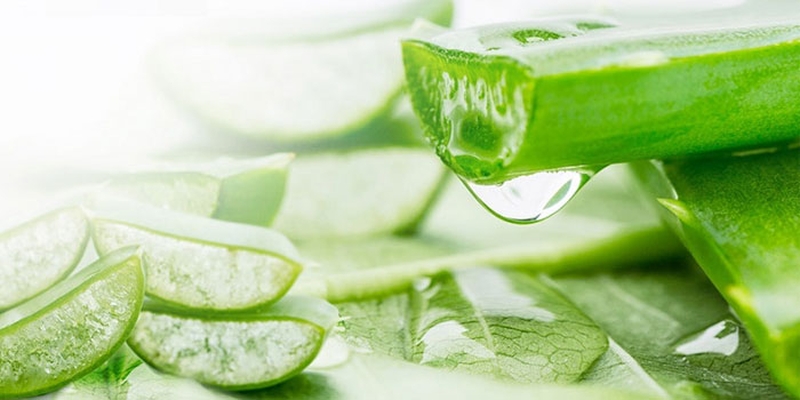 Cách trị muỗi đốt tại nhà an toàn cho trẻ 3