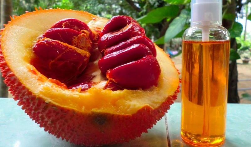 Cách trị nám bằng dầu gấc dễ thực hiện không nên bỏ quả 2
