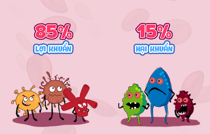 cách trị rối loạn tiêu hóa tại nhà 4