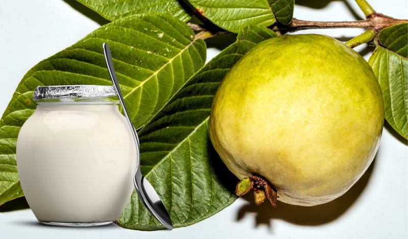 Cách trị viêm da cơ địa bằng lá ổi​ có thật sự hiệu quả như lời đồn? 2