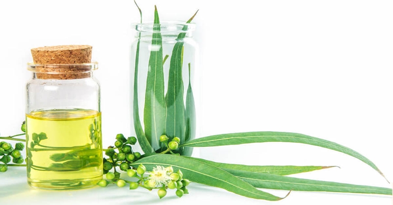 Cách trị viêm phế quản tại nhà ở người lớn được bác sĩ khuyên dùng 3