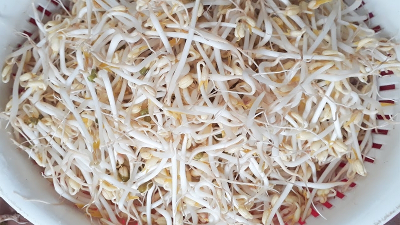 Rổ nhựa có thể làm giá đỗ ngay tại nhà