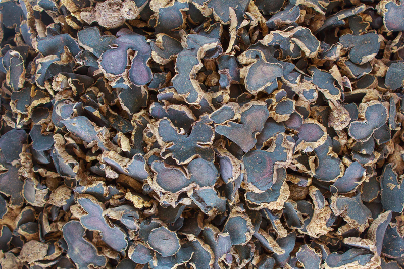 Cách uống gừng đen giảm cân nhanh nhưng không ảnh hưởng sức khỏe 2