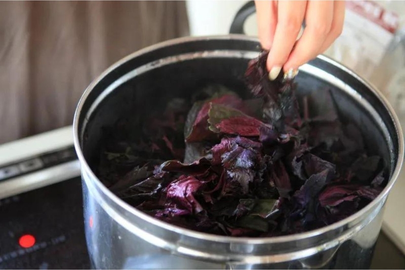 Học cách uống lá tía tô của người Nhật để chăm sóc sức khỏe 2