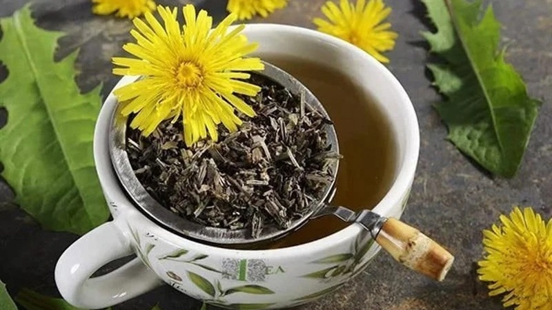 Cách uống trà bồ công anh và lưu ý khi thưởng trà 2