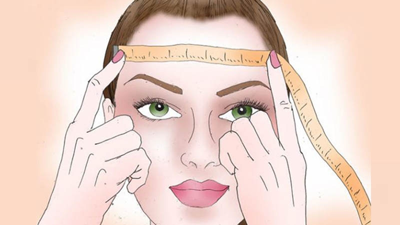 Phần rộng nhất của trán thường nằm giữa lông mày và đường chân tóc phía trên trán