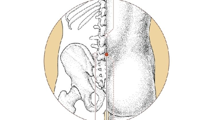 Huyệt yêu dương quan có nhiều công dụng tốt trong việc hỗ trợ nâng cao sức khỏe cơ thể