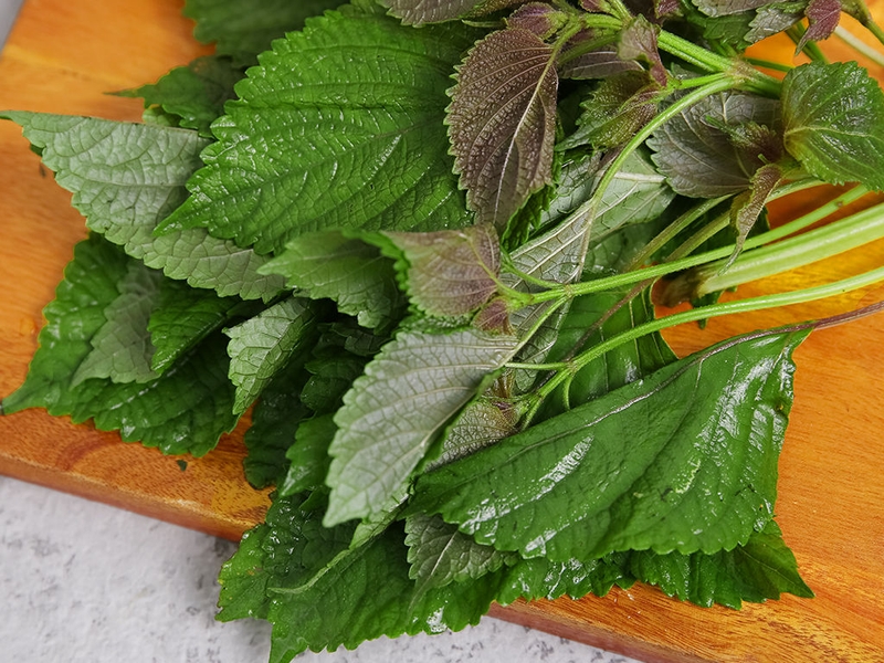 Cách xông hơi vùng kín hồng hào khỏe mạnh 3