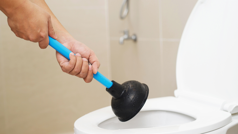 Nhà vệ sinh là khu vực dễ phát sinh vi khuẩn và mùi hôi do đặc thù ẩm ướt và kín gió