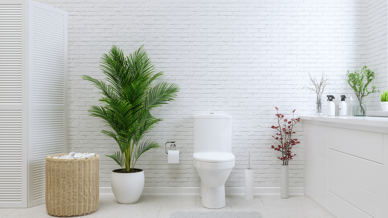 Xử lý mùi hôi nhà vệ sinh giúp cải thiện không gian sống