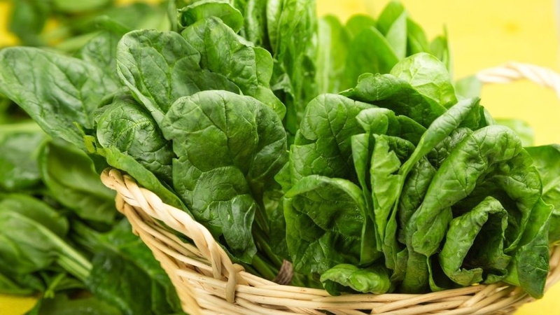 Cải bó xôi bao nhiêu calo? Có tốt không? 0